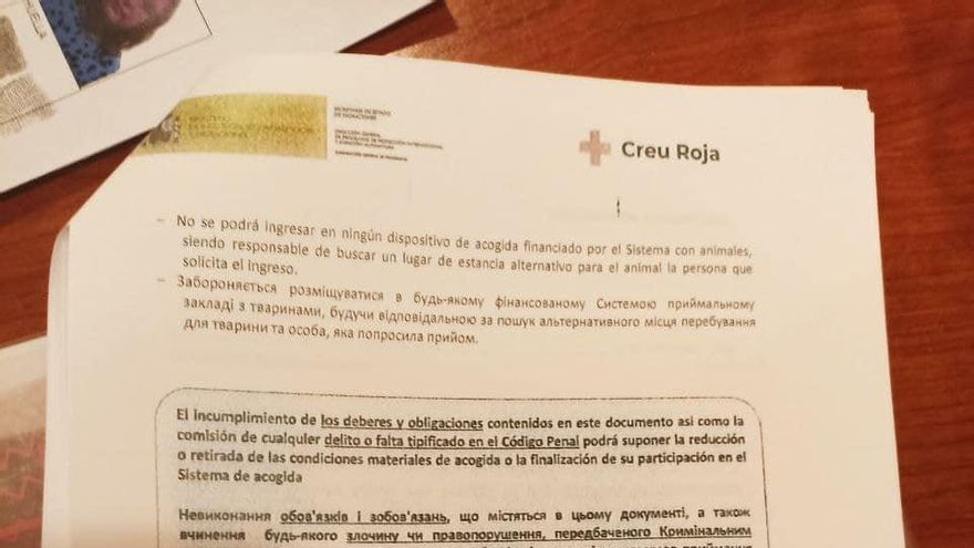 La carta que comunica a las personas refugiadas que no pueden acceder al sistema con animales