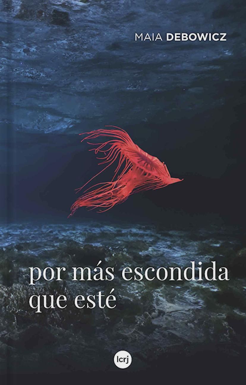 Por más escondida que esté, de Maia Debowicz.