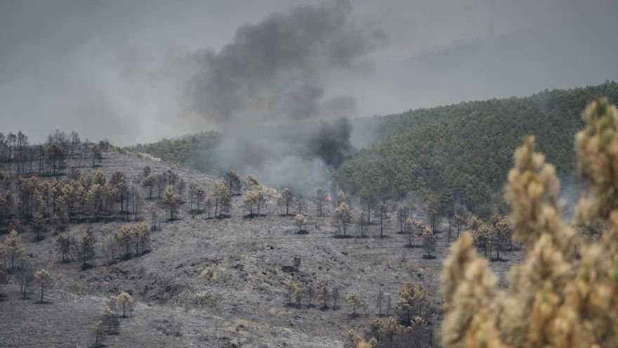 El delegado del Gobierno sobre el origen del incendio de La Mierla: "Dejemos que la Guardia Civil acabe la investigación"