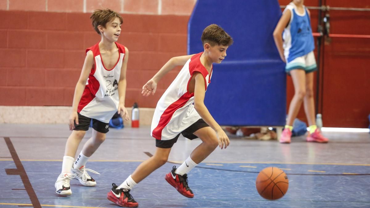 Alley Oop Academy