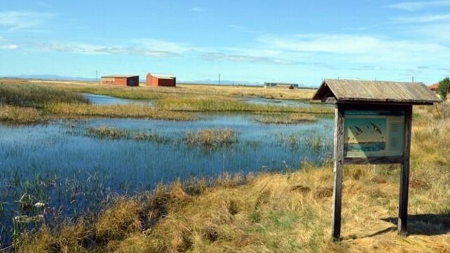Una laguna en El Burgo Ranero.