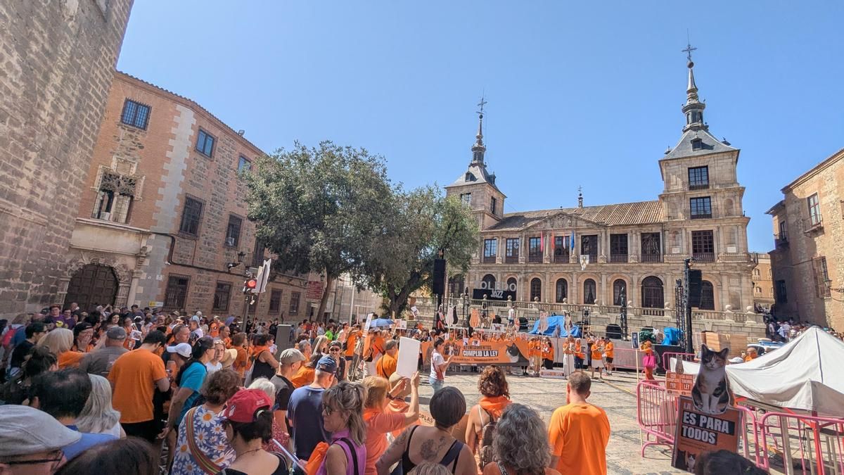 Castilla-La Mancha sale a las calles para apoyar a las colonias felinas y a las personas que las protegen