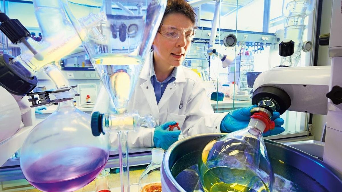 (Ampl) Bayer ofrece 55.200 millones por la estadounidense Monsanto