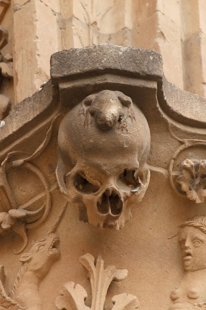 La rana sobre la calavera.