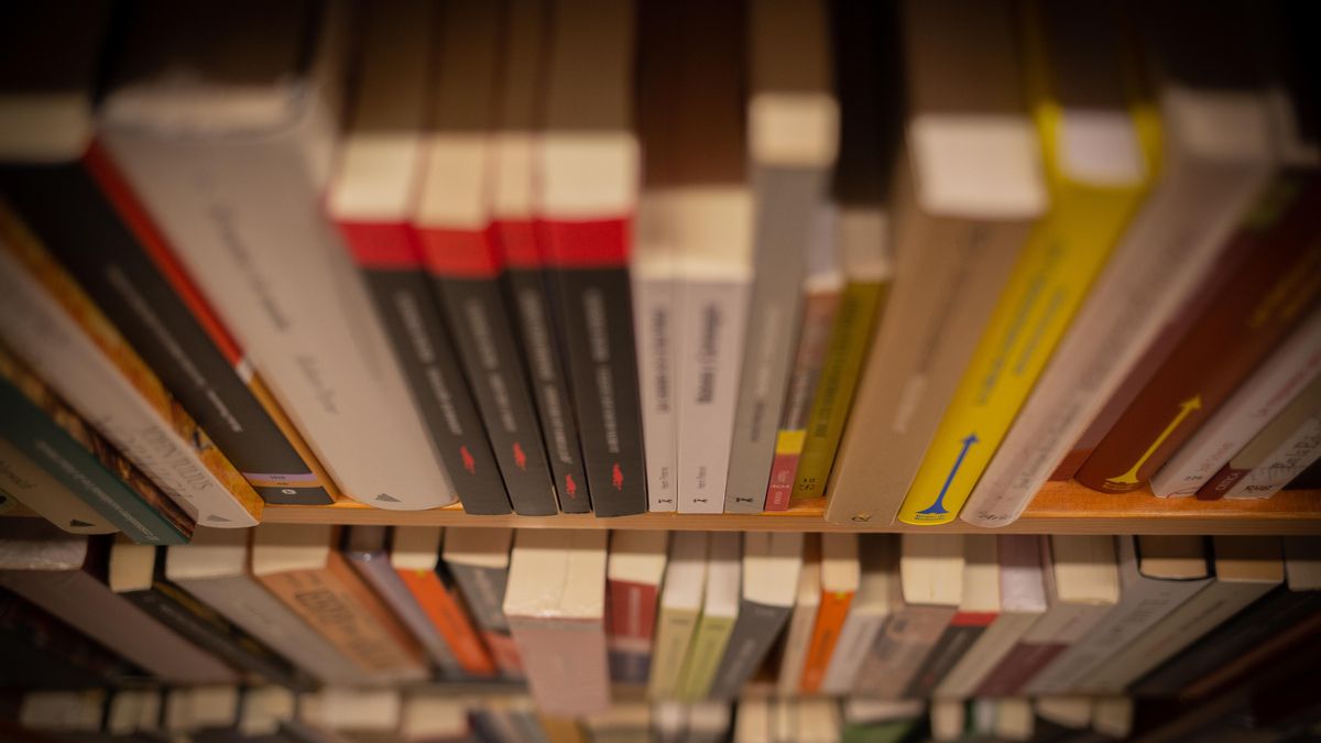 Lo nuevo, lo otro y las noches de verano