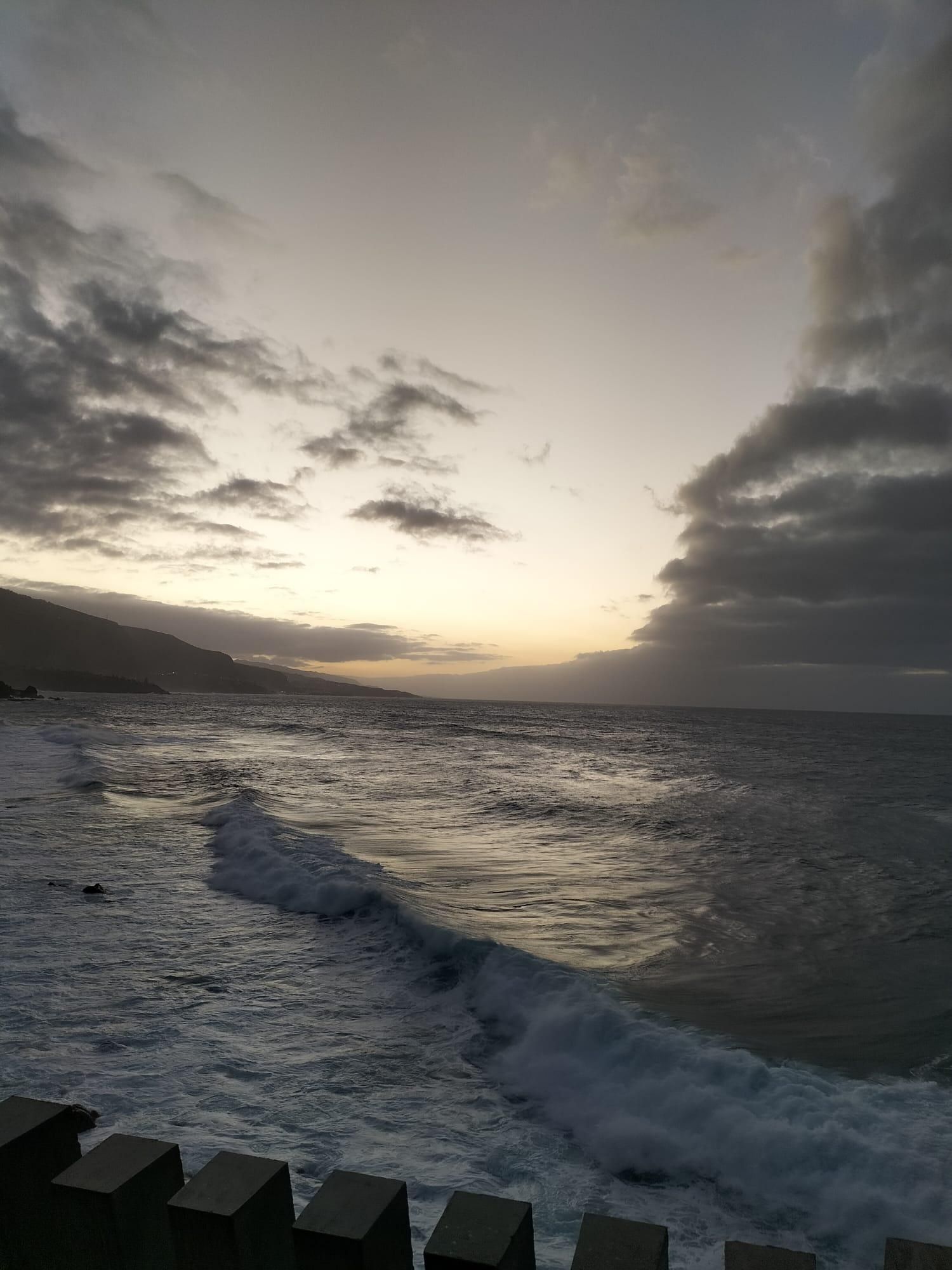 Puerto de la Cruz, 2026. Foto: Dámaso Pérez García