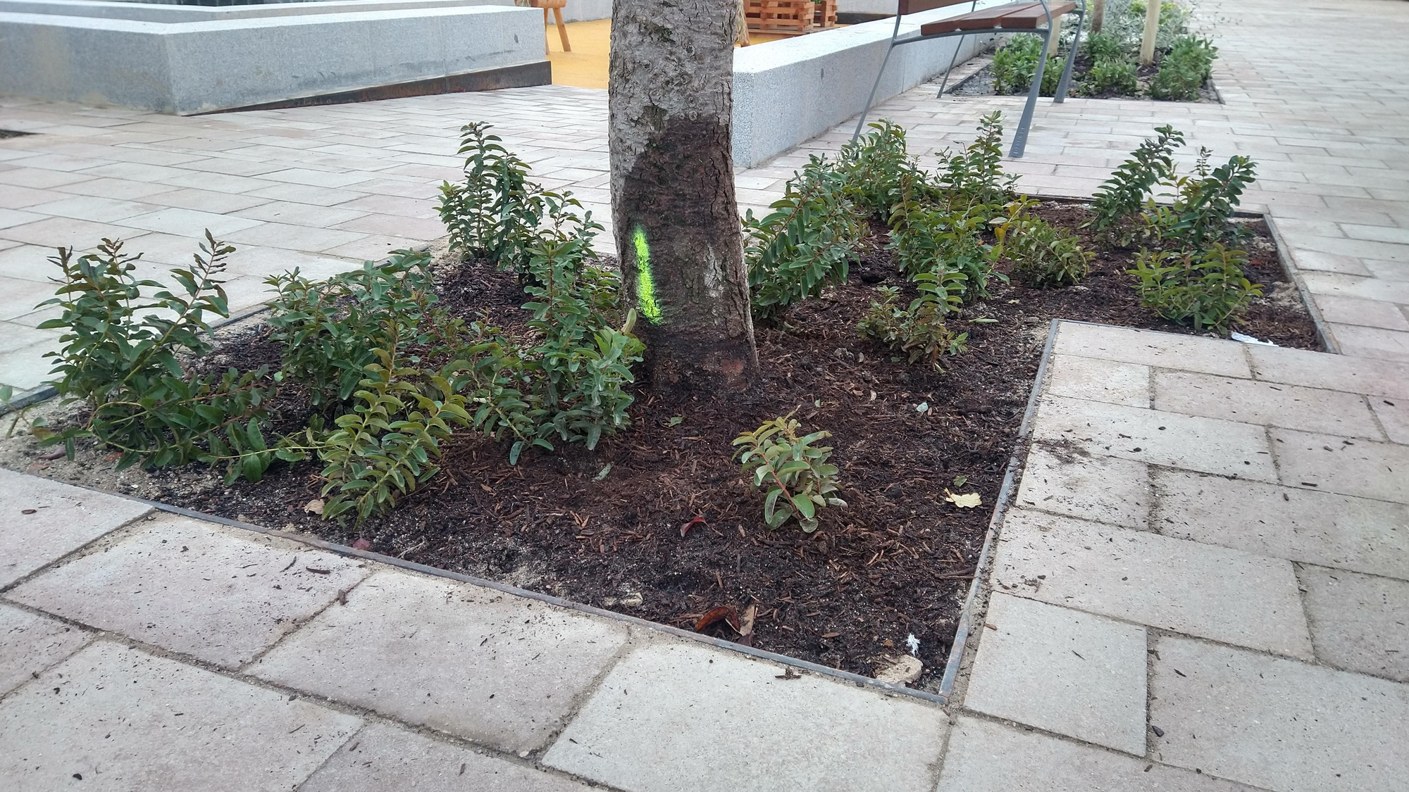 Vista de la plaza de la Remonta reformada