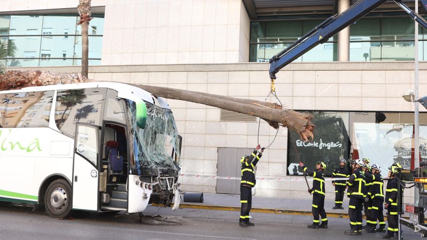 Tres fallecidos en un atropello múltiple por un autobús en la entrada de Cádiz