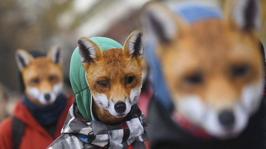 El Parlamento de Polonia aprueba la prohibición de las granjas peleteras a partir de 2033