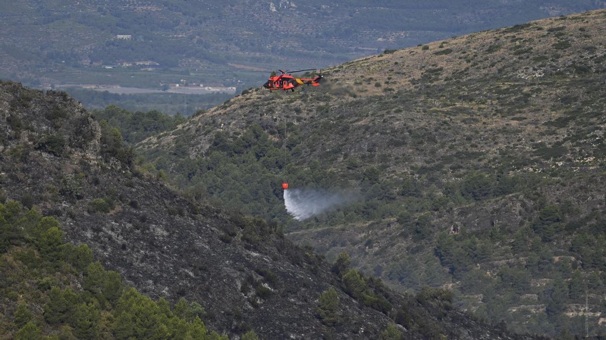 La delegada del Gobierno en la Comunitat Valenciana, sobre el incendio de Soneja: "No parecen causas naturales"