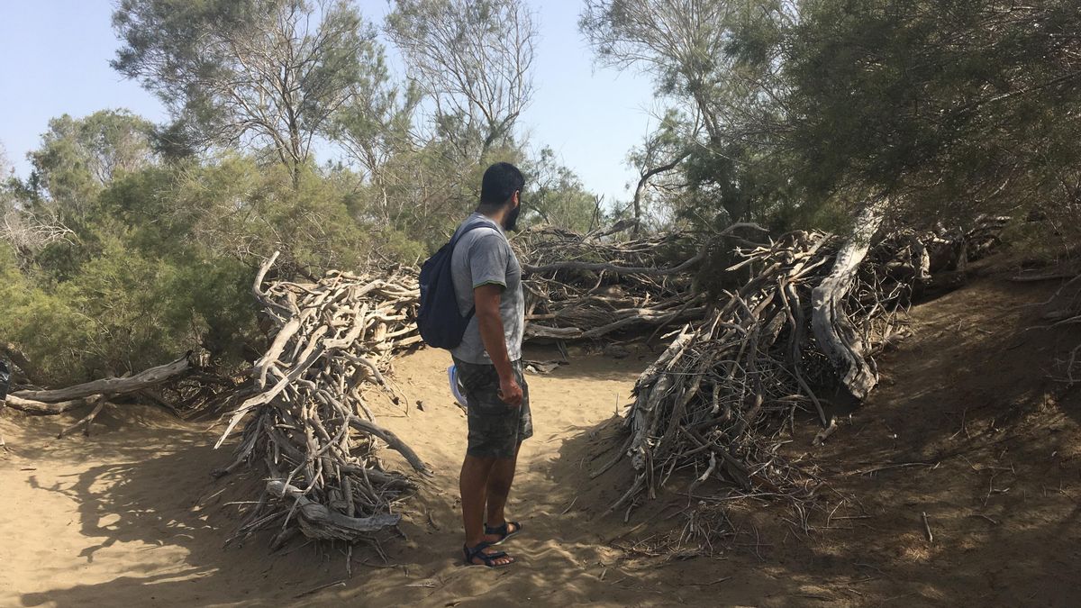 “La naturaleza es gratis”: por qué las Dunas de Maspalomas son una reserva protegida solo sobre el papel
