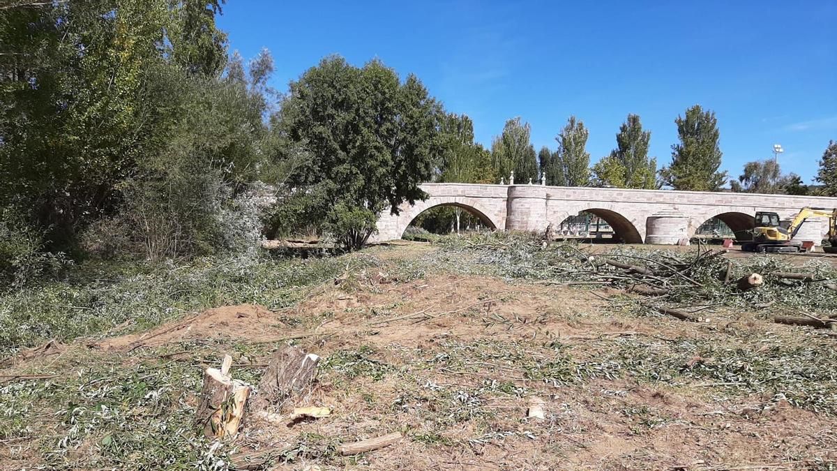 El alcalde de León asegura que ha sido por "seguridad" la gran tala de árboles en la ribera del Torío en Puente Castro