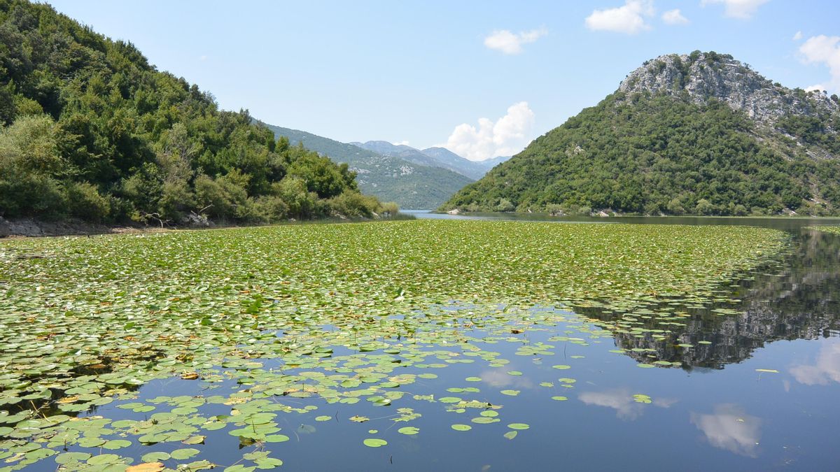 En este lago fronterizo destaca la extraordinaria riqueza botánica que florece en sus zonas húmedas y bosques