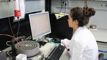 Las mujeres dirigen el 30,4 % de las investigaciones en la Universidad de Zaragoza.
