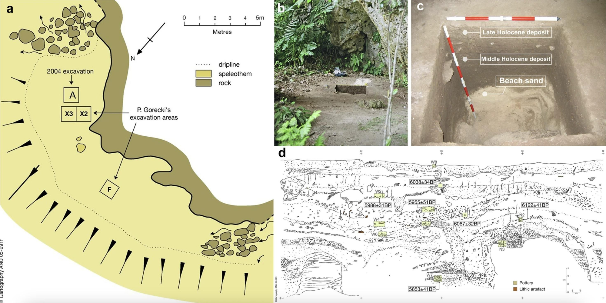 a Plano de las zonas de excavación en Taora, elaborado por ANU CartoGIS Services. b Vista de la excavación de la Zona A en Taora. c Vista en sección del muro norte de la Zona A (2004), que muestra la distinción entre depósitos culturales y unidades de arena de playa estériles. d Dibujo en sección de la Zona A y ubicación de las muestras de conchas datadas tomadas in situ. Fotografías y dibujo en sección cortesía de Anthony Barham.