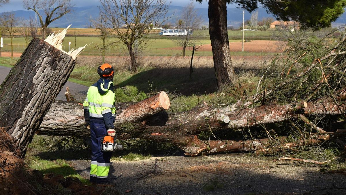 Efectos de la borrasca Leonardo en Daimiel (Ciudad Real)