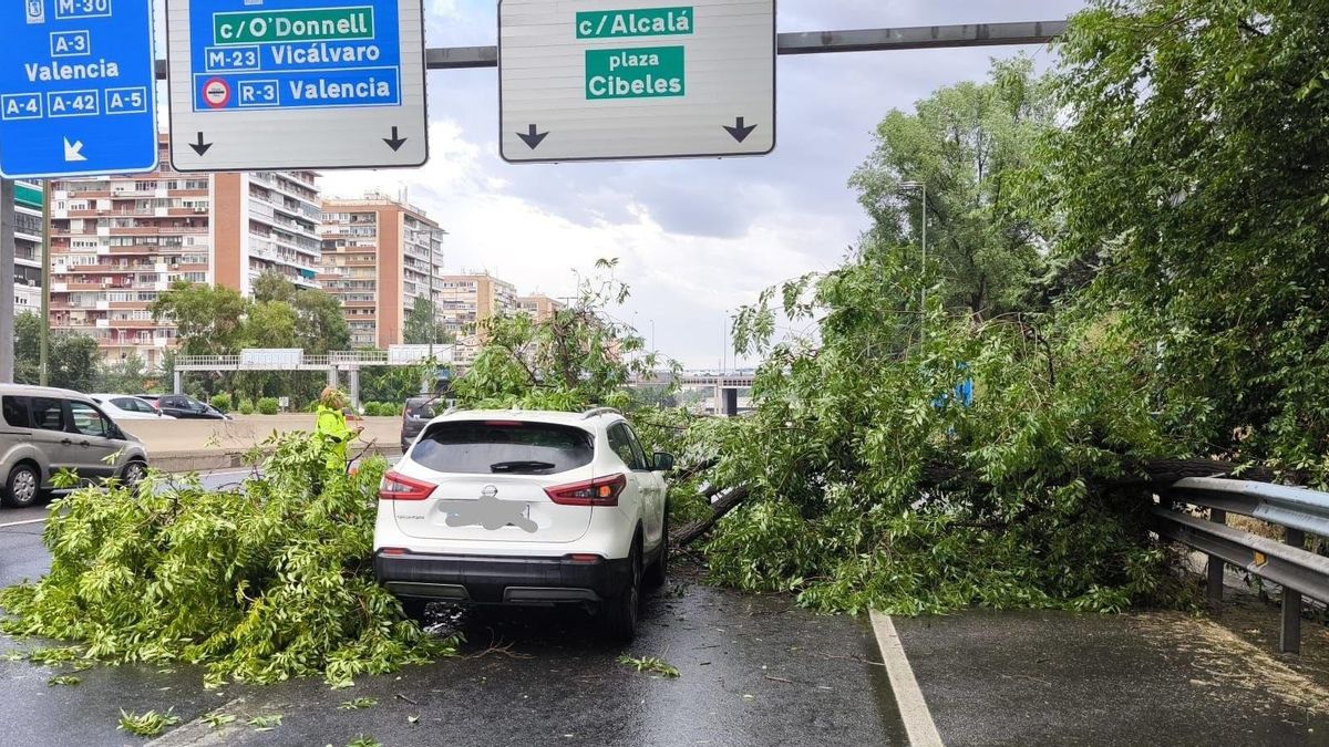El árbol caído sobre un coche en la M-30