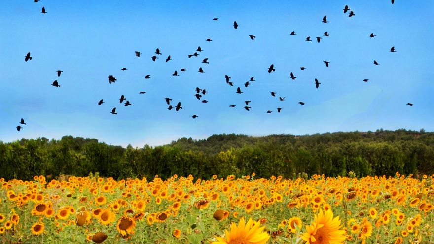 Viaje al interior de un cuadro: un 'road trip' de cinco días por los paisajes que inspiraron la pintura moderna