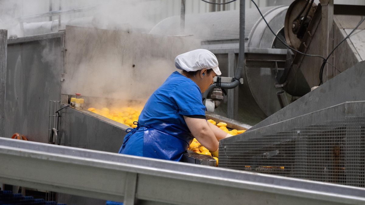 Archivo - Industria conservera de La Rioja