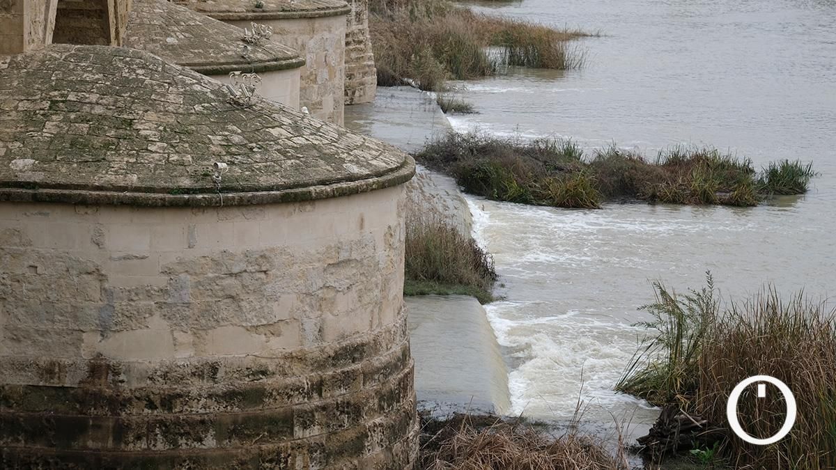 Así va el río Guadalquivir a su paso por Córdoba después de las últimas lluvias