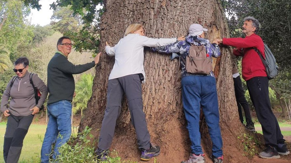 Personas que componen el proyecto de Cohousig Los Girasoles.