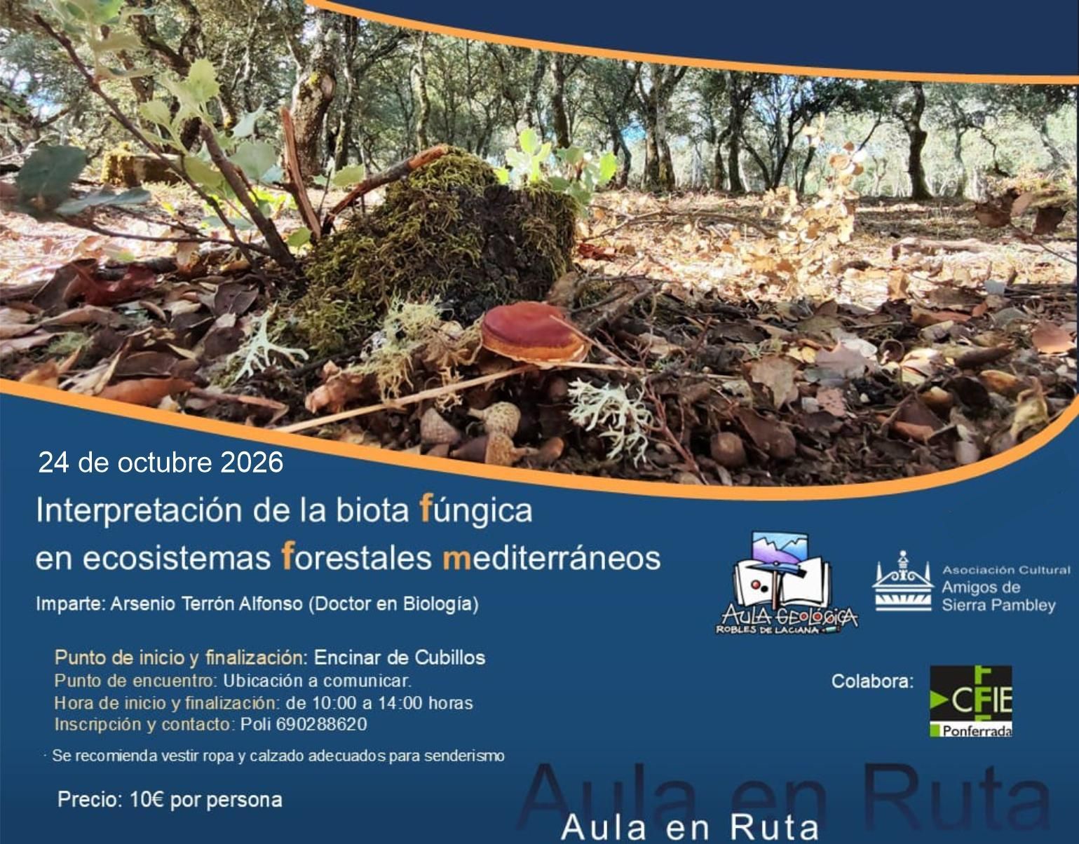 Aula en ruta del 24 octubre.