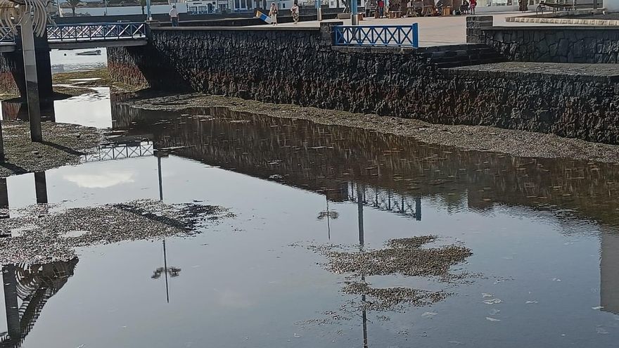 Contaminación en el Charco de San Ginés de Arrecife