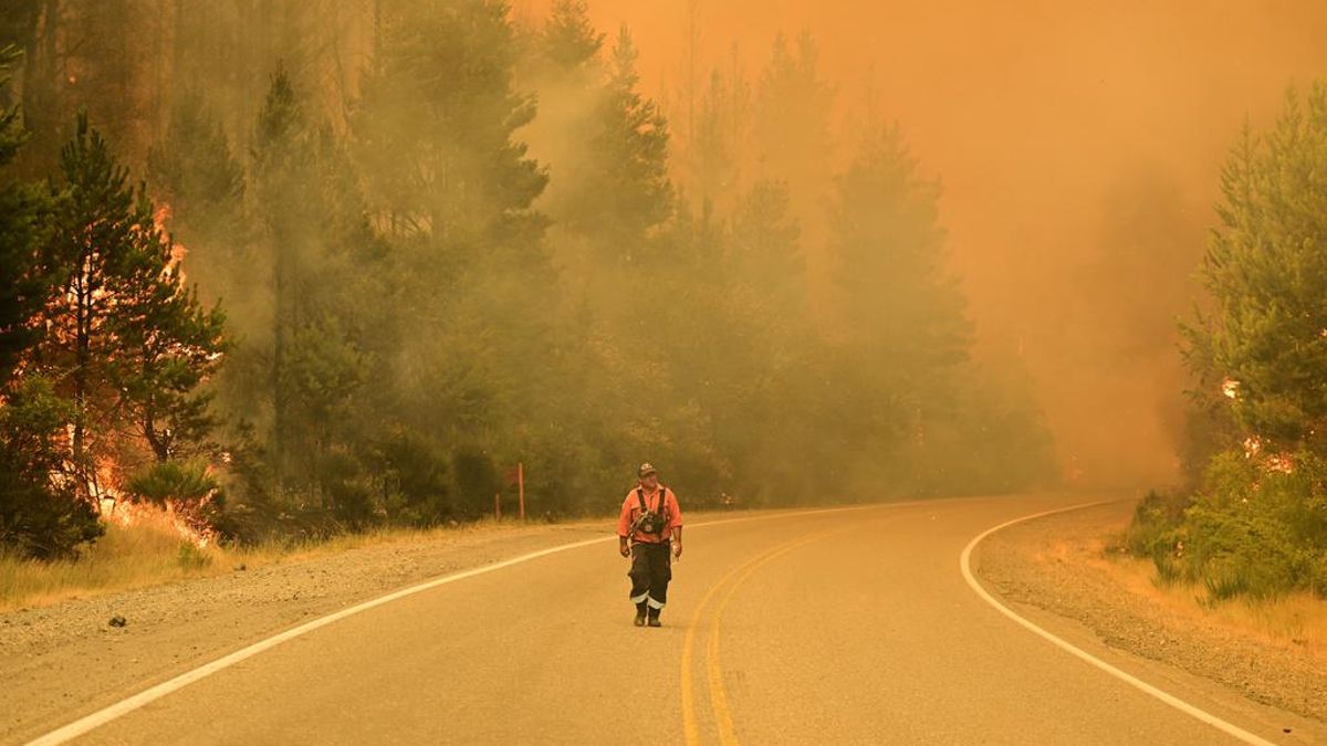 2026 traerá más incendios y eventos climáticos extremos por el cambio climático y El Niño, advierten científicos