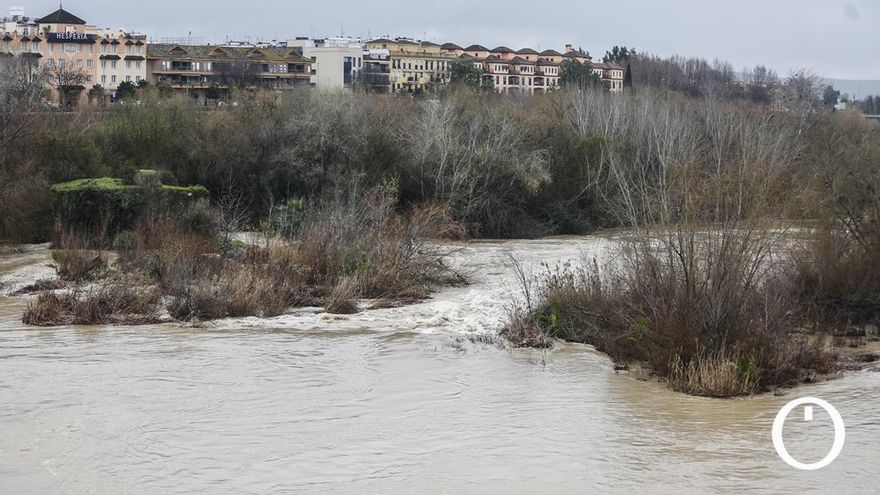 La crecida del río Guadalquivir a su paso por Córdoba