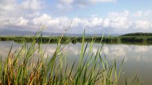 Vistas del Delta del Ebro.