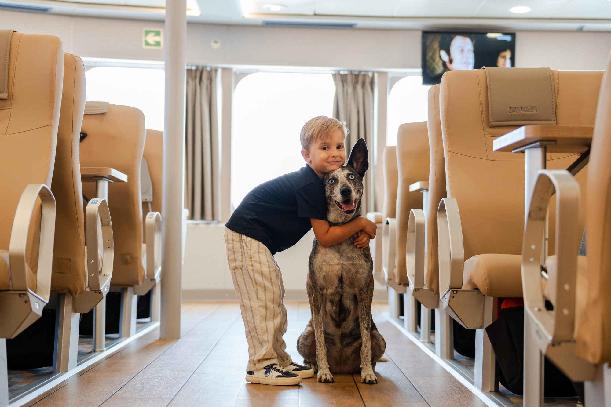 Baleària Canarias ofrece viajar con tus mascotas.