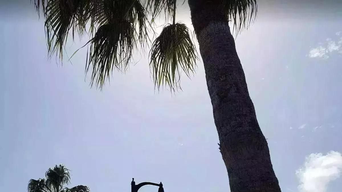 Imagen de archivo de un día soleado en Santa Cruz de La Palma.