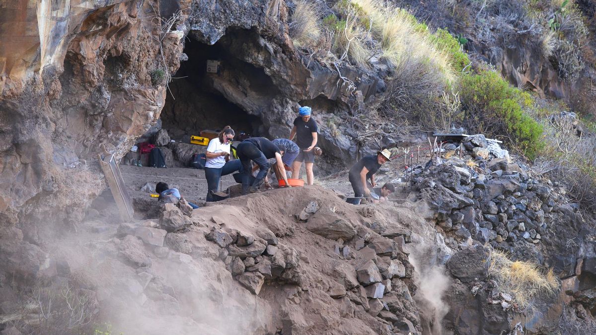 La octava edición del Campus de Arqueología de Tijarafe, desarrollada en el Barranco de Los Gomeros, continúa arrojando luz sobre el pasado aborigen de La Palma, constatando la población temprana de la cara oeste de la isla y la presencia de actividad agrícola que desapareció con el paso de los años.