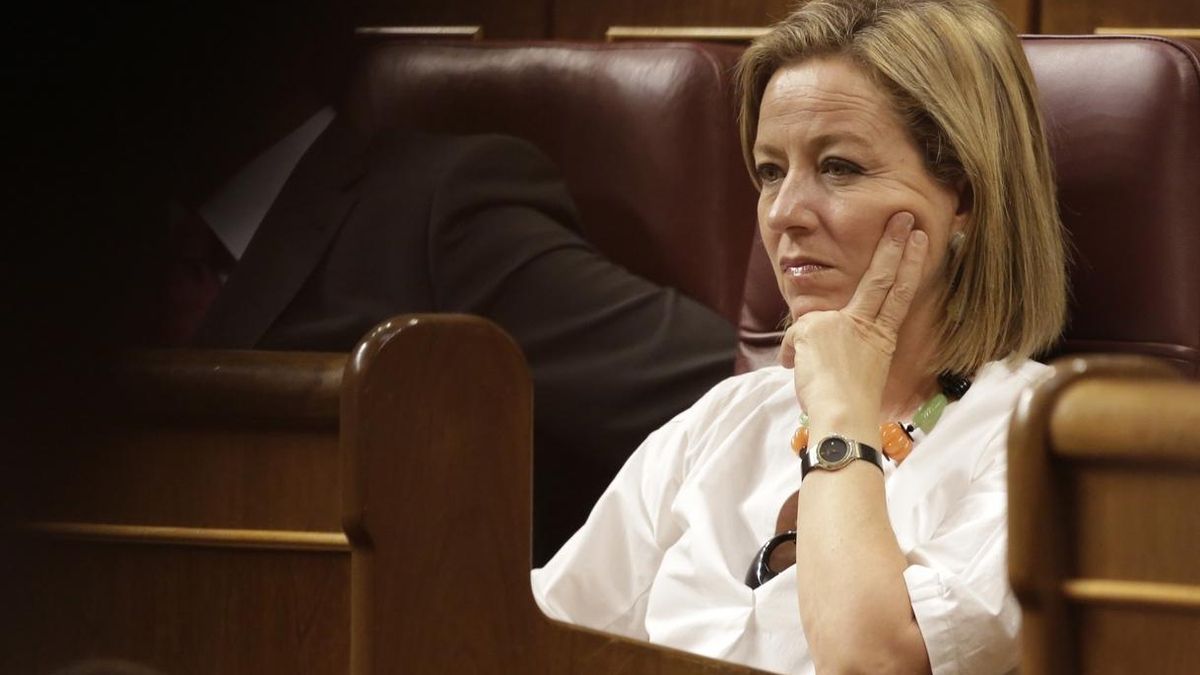 El Congreso respalda incluir el plátano canario en el régimen de compensaciones al transporte de mercancías