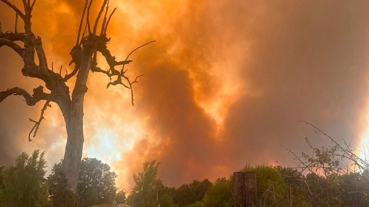 Dos de los incendios más graves del verano en León, en Murias de Ponjos y el Condado, quemaron casi 4.000 hectáreas