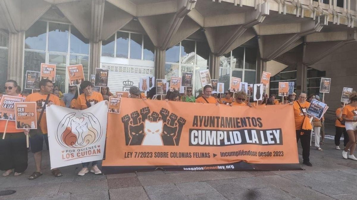 Algunos participantes en la concentración por las colonias felinas en Ciudad Real