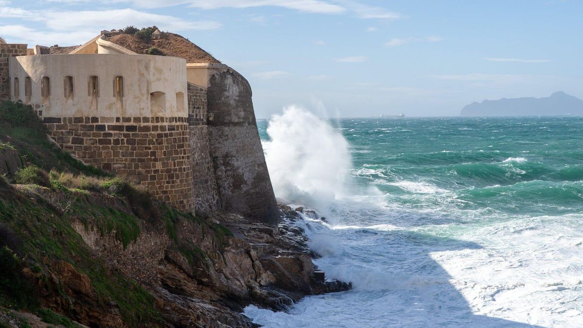 Caídas de árboles y farolas, fuerte oleaje y rachas de viento de hasta 100 km por hora en la Región de Murcia