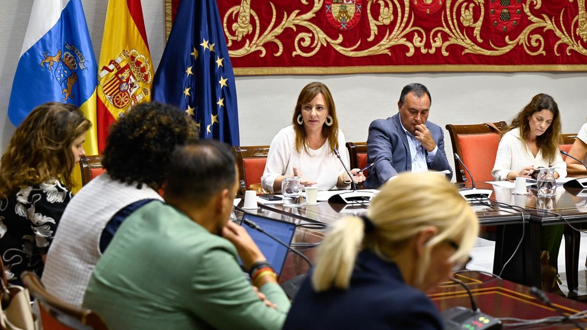 Nieves Lady Barreto, consejera de Presidencia, Administraciones Públicas, Justicia y Seguridad del Gobierno de Canarias, este jueves, en la Comisión de Gobernación, Desarrollo Autonómico y Justicia del Parlamento regional.