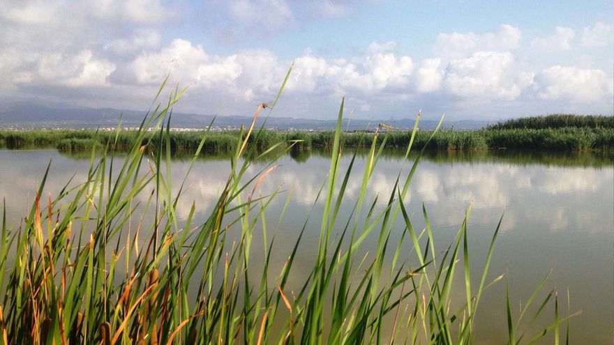 Transformarnos para salvar el planeta