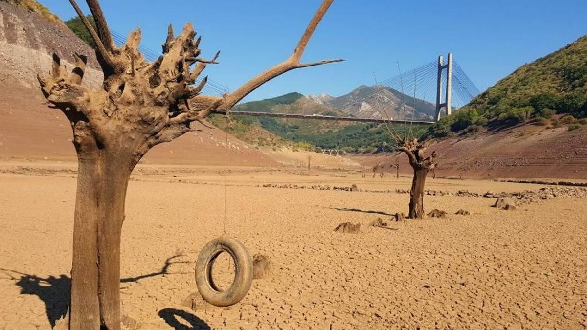 El CSIC recuerda la importancia vital de los suelos para sostener la vida