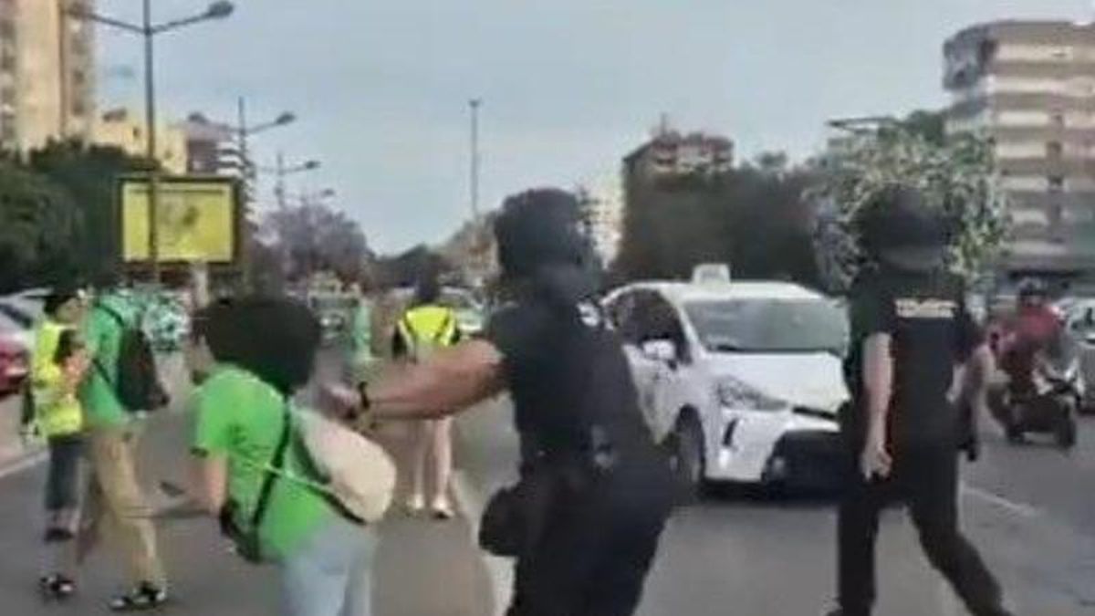 Imagen del golpe de un agente de policía a una manifestante en Valencia