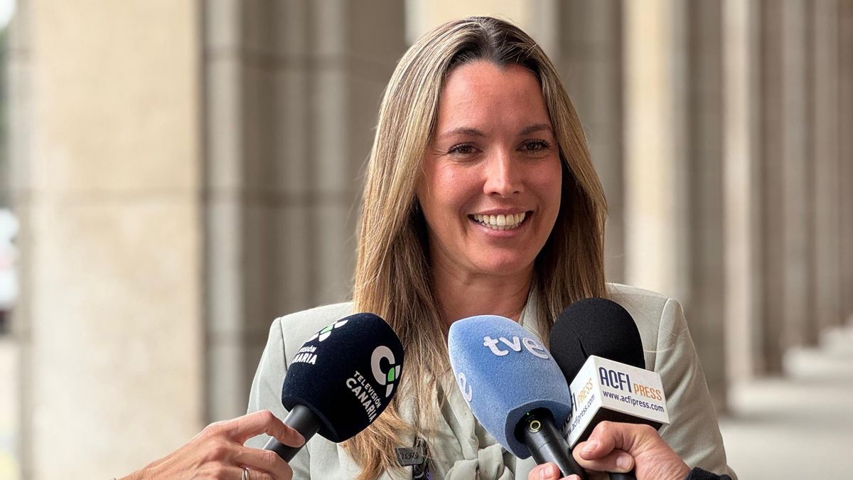 Canarias considera un "reconocimiento histórico" que la Ley de Movilidad Sostenible asegure la gratuidad del transporte público