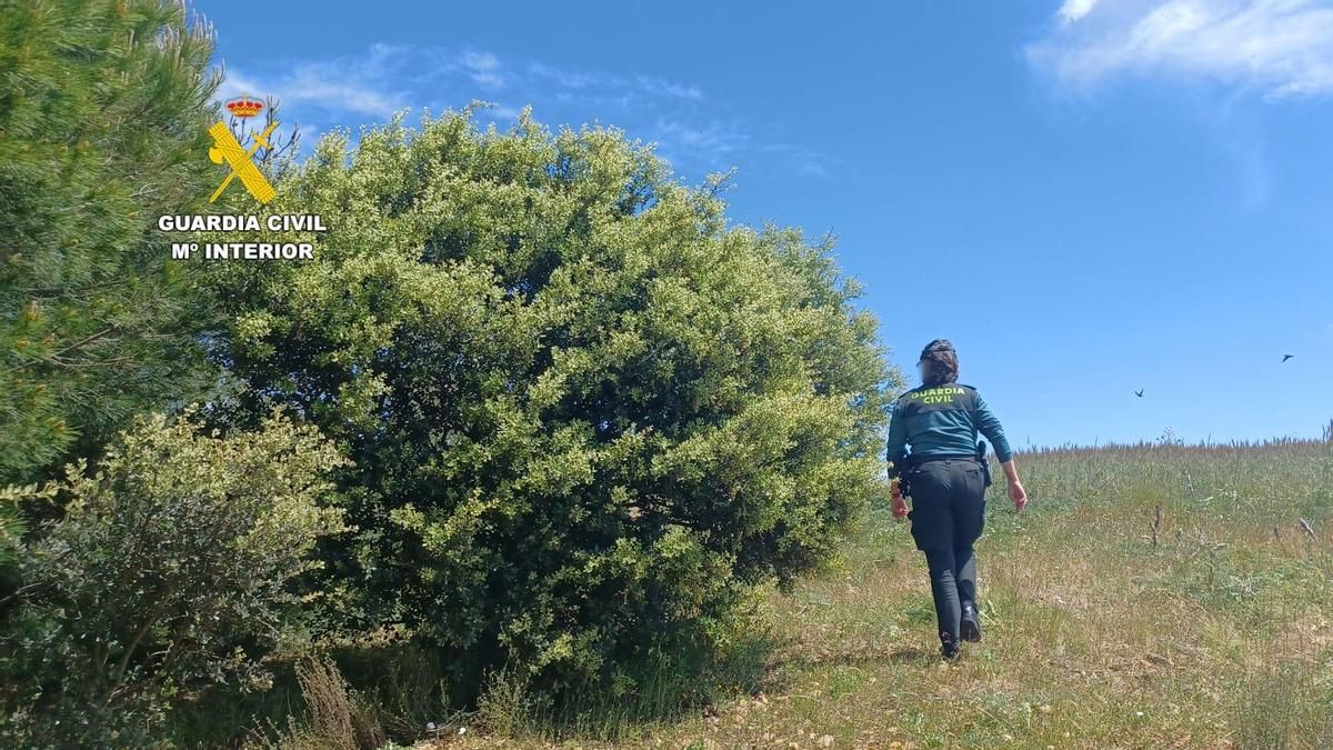 Hallado sin vida el cuerpo del hombre desaparecido en Villar de Mazarife