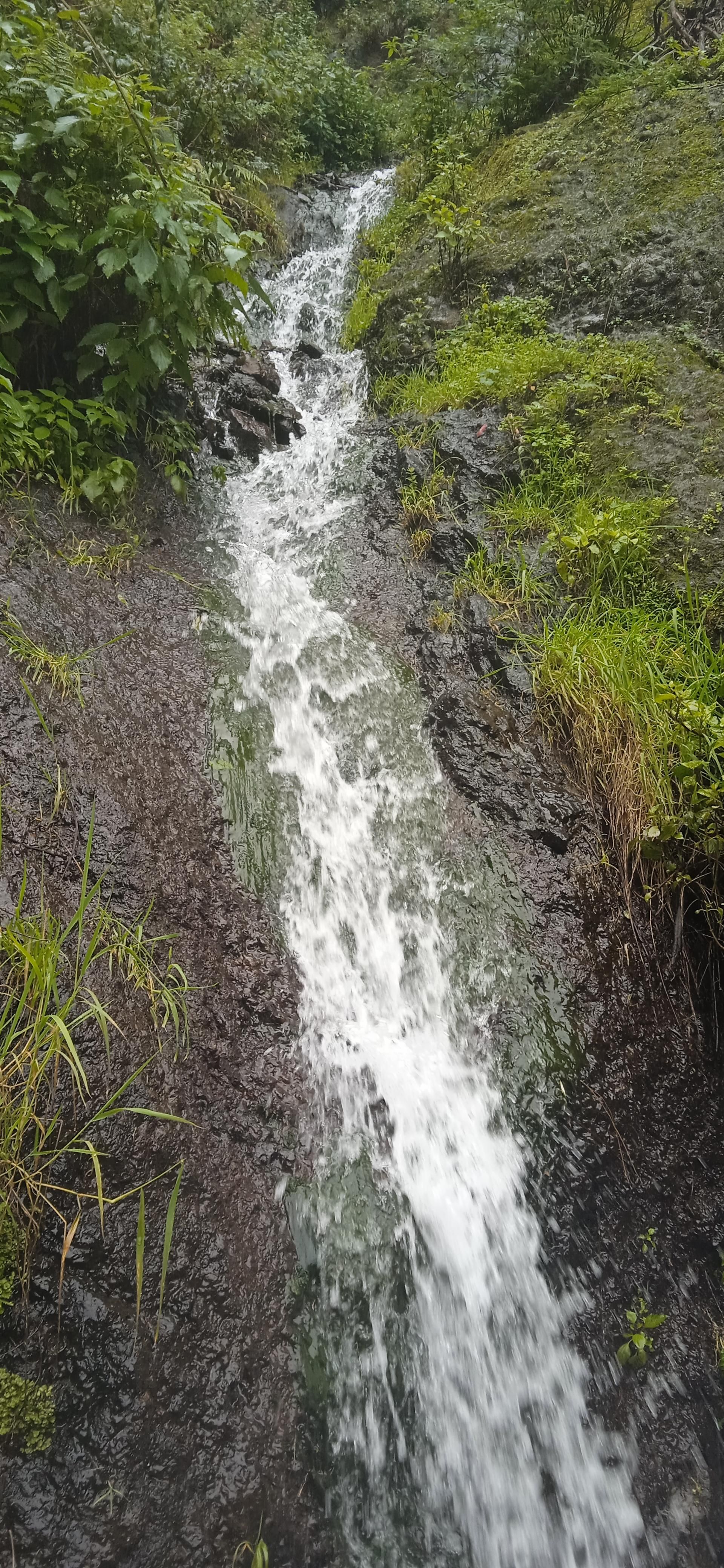 Manantial en La Palma.
