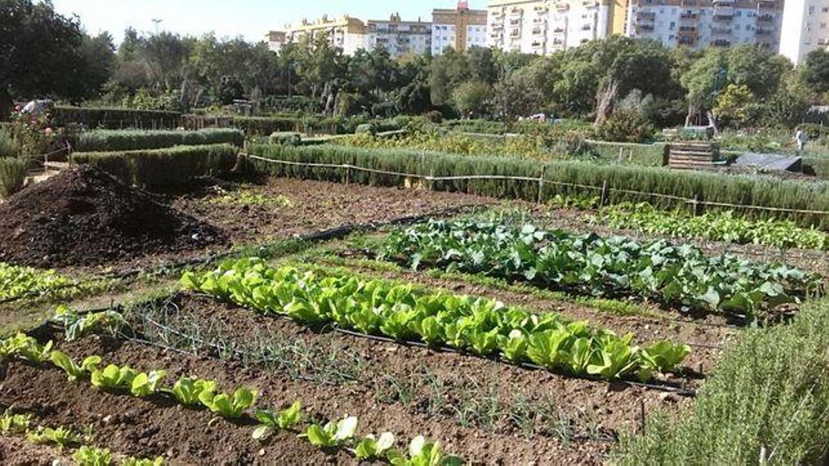 Huertas en el Parque de Miraflores de Sevilla