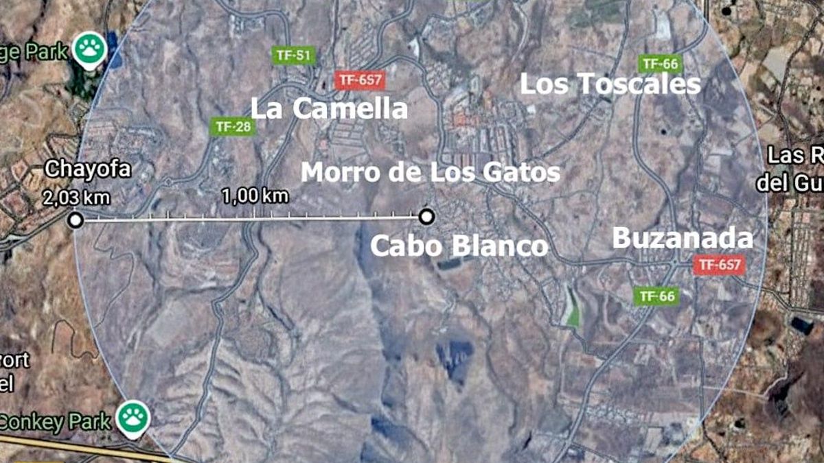 Tenergética impulsa su primera comunidad energética local en Arona