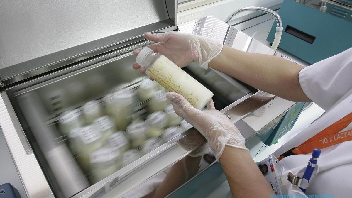 Entregan más de 15.000 firmas en el Parlamento vasco demandando la creación de un banco de leche en Euskadi