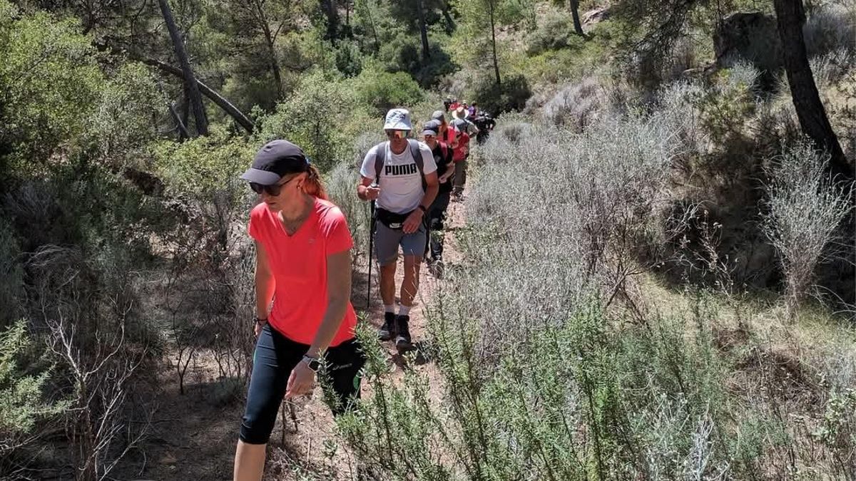 Ruta guiada que se realizó el pasado año con motivo del Día Mundial de las Aves Migratorias