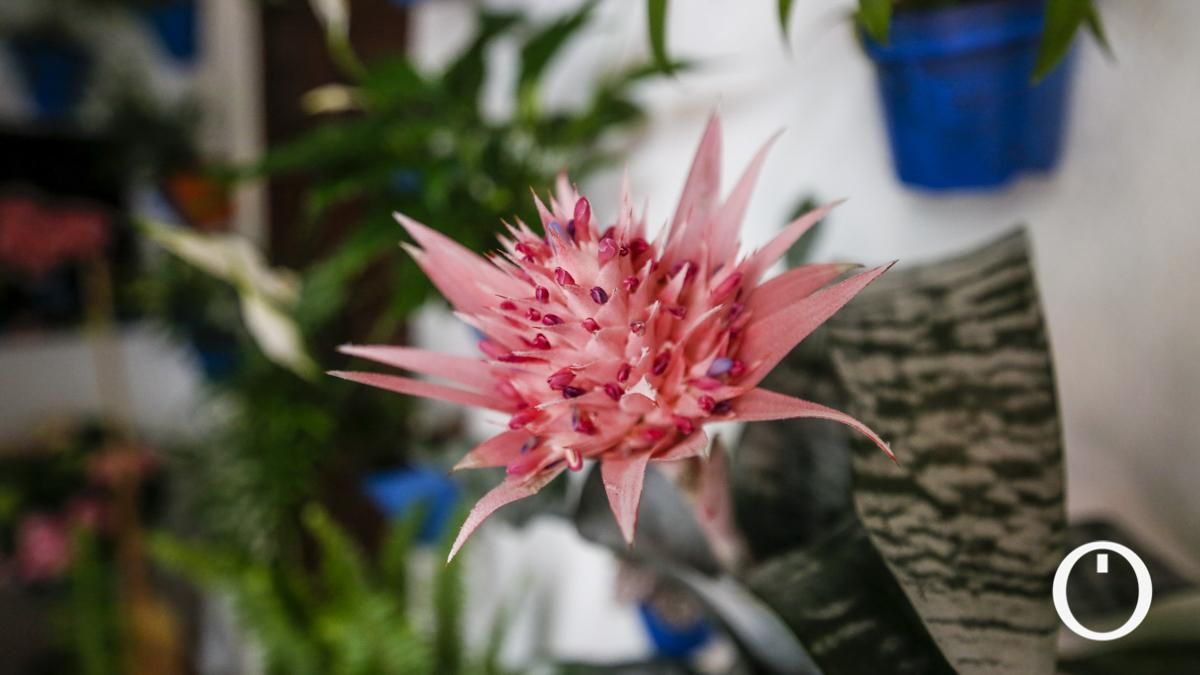 Patio en la C/ Tinte, 9