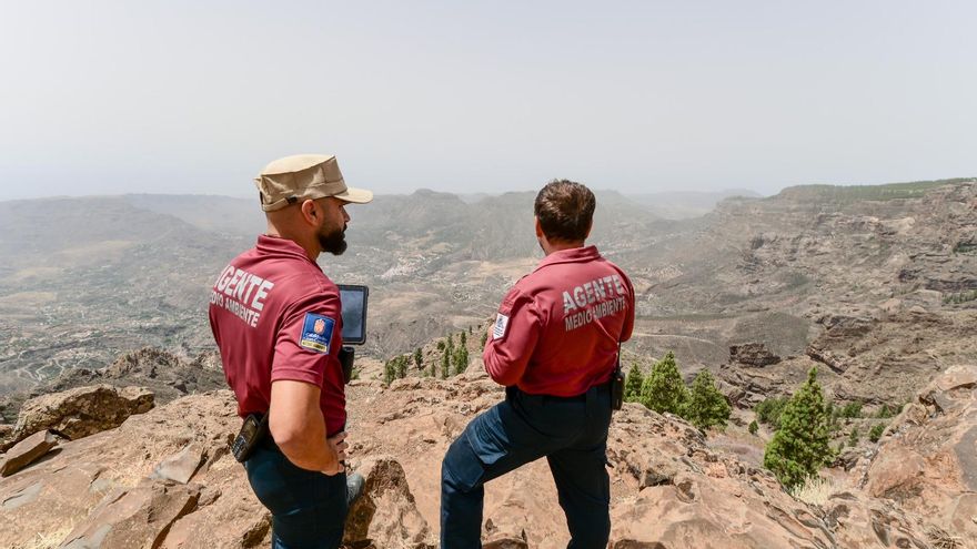 El Cabildo advierte: Gran Canaria está muy estresada y el fuego puede propagarse fácilmente